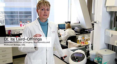 implen, nanophotometer, spectrophotometer, nanodrop alternative, nano drop,