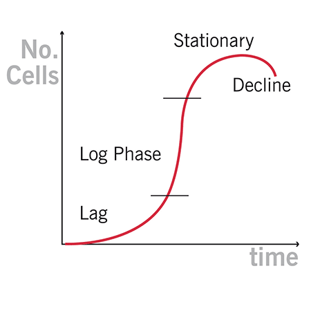 OD600 bacterial cells growth curve implen