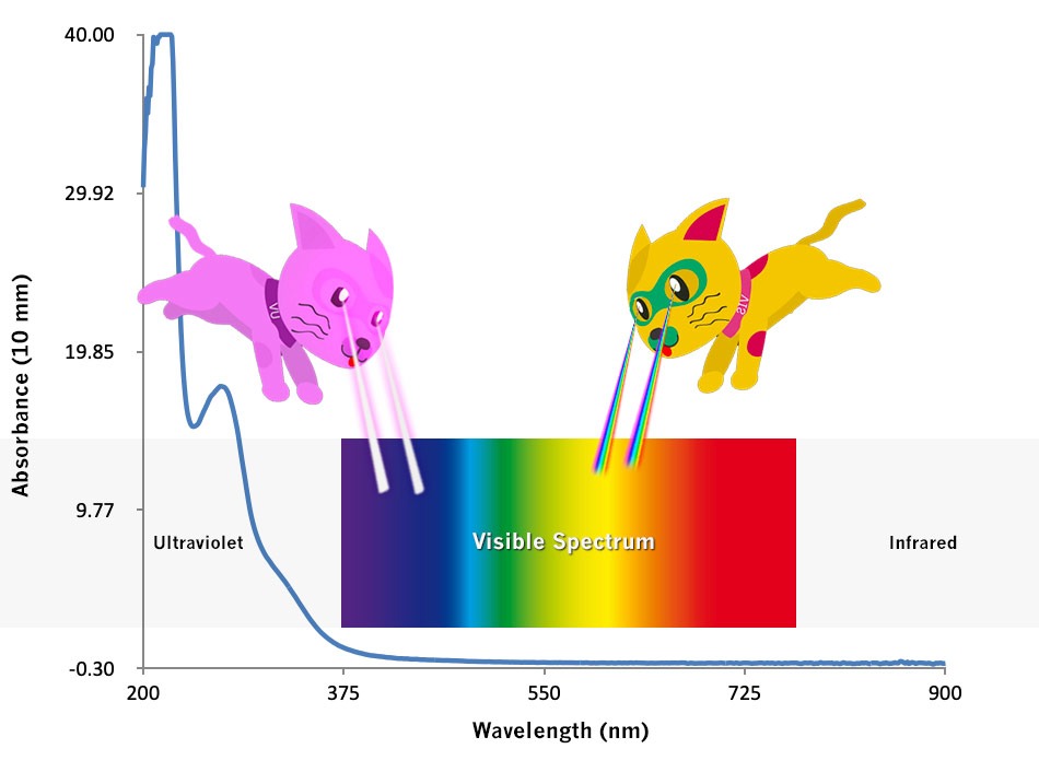 How-does-a-UV-Vis-spectrophotometer-work-implen-nanophotometer-UV-Vis-nanodrop-alternative