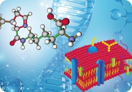 implen-uv-vis-spectrophotometer-NanoPhotometer-Structural-Biology-Applications-Biological-Micromoleculas-proteins-DNA-RNA-cell-membranes