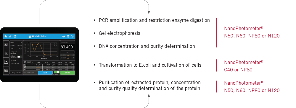 implen-uv-vis-spectrophotometer-NanoPhotometer-Structural-Biology-workflow