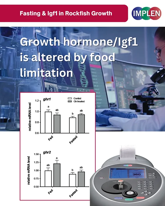 Implen Journal Club Fasting Alters Igf1 Growth Regulation in Rockfish4B