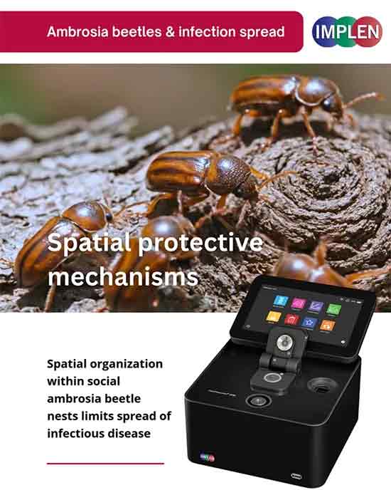 Implen-Journal-Club ambrosia beetles against spread of infectious disease4